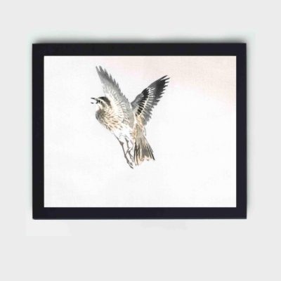 Infidu Sparrow by Kono Bairei (1844-1895) in high resolution Vintage Art