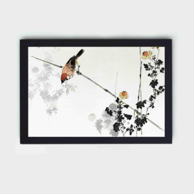 Infidu Japanese swallow bird, illustration from Seitei Kacho Gafu (1890-1891) by Wantanabe Seitei, a prominent Kacho-ga artist in high resolution Reproduced Art