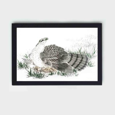 Discover the majestic beauty of a Japanese Hawk-Eagle in this vintage art print by Numata Kashu