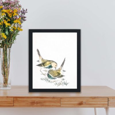 Discover the beauty of a Japanese Great Tit in this vintage art print by Numata Kashu,placed on the wall