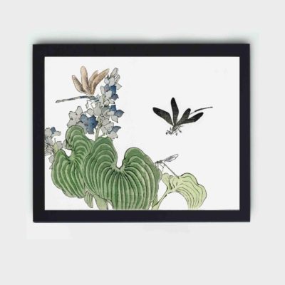 Infidu Dragonfly on a flower illustration from Churui Gafu (1910) by Morimoto Toko in high resolution Reproduced Art