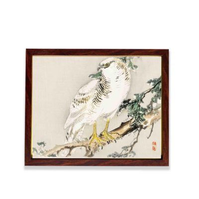 Infidu Northern mockingbird by Kono Bairei (1844-1895) in high resolution Vintage Art