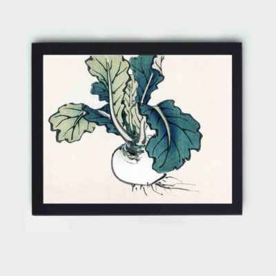 Infidu Radish by Kono Bairei (1844-1895) in high resolution Vintage Art