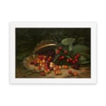 Vintage still life of cherries spilling from a basket, featuring vibrant red, orange, and yellow fruit with deep green leaves. hung on the wall