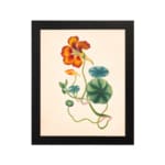 Vintage floral wall art with orange-red flower and green twisting vines on a beige background. hung on the wall