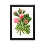 Vintage wall art of soft pink rosebuds with green leaves and stems in a black frame on a white background. hung on the wall