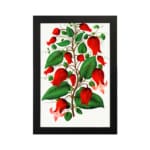 Infidu vintage wall art of red bell-shaped flowers with green leaves on a white background, framed in black. hung on the wall