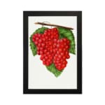 Vintage wall art of red grapes on a vine with green leaves and a white background, framed in black. hung on the wall