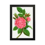 Infidu vintage wall art with blooming pink rose and green leaves in a classic black frame. hung on the wall