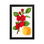 Infidu vintage wall art featuring vibrant red flowers and lush green leaves against a white background with a sleek black border. hung on the wall on a white background