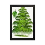 Infidu vintage wall art of a cascading green tree with detailed leaves on a white background. hung on the wall