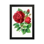 Vintage botanical wall art of red roses with green leaves on a white background by Infidu. hung on the wall