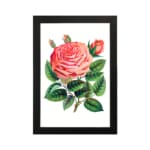 Infidu Pink Rose in Full Bloom Vintage Wall Art with detailed petals and green leaves. hung on the wall