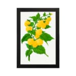 Vintage botanical art print of yellow raspberries on a green leafy branch with a white background from Infidu. hung on the wall