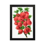 Vintage botanical wall art of red gooseberries and green leaves on a white background. hung on the wall