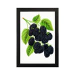 Infidu Vintage Dark Mulberries botanical wall art showing detailed purple-black mulberries with green leaves on a white background. hung on the wall