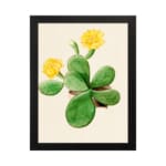 Vintage wall art featuring a cactus with yellow flowers, set against a light beige background with a black frame. hung on the wall
