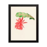 Vintage wall art with a red hanging flower and green leaf on a cream background, framed in black. hung on the wall