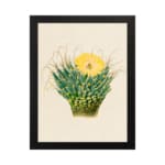 Infidu Vintage Cactus & Yellow Flower Wall Art showcasing a vibrant cactus plant with a yellow flower, framed in black. hung on the wall