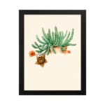 Vintage wall art of green cactus with orange flowers on beige background in a black frame hung on the wall