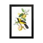 Yellow bird on a branch with green leaves and soft yellow fruits – Infidu vintage wall art hung on the wall