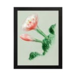 Vintage botanical wall art with a blooming flower and detailed green leaves, framed in black. hung on the wall