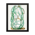 Vintage botanical wall art of a cactus with twisting green stems and a white flower, framed in black. hung on the wall