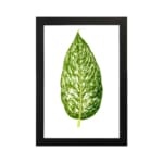 Vintage leaf wall art with a large green marbled leaf centered on a white background, framed in black. hung on the wall