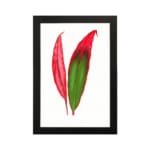 Vintage wall art of bold red and green tropical leaves in a black frame hung on the wall