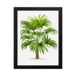 Infidu Vintage Wall Art of a lush tropical plant with green leaves and a brown trunk, framed in black, set against a clean white background. hung on the wall