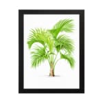 Vintage wall art featuring a green palm plant with curved leaves, framed in black, adds a fresh tropical feel to any room. hung on the wall