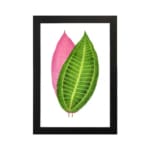 Vintage wall art featuring a green and pink leaf print with detailed veins and a white background. hung on the wall