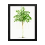 Vintage wall art of a green leaf with light yellowish-white patterns on a white background in a black frame. hung on the wall