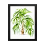 Vintage wall art of a tropical plant with long green leaves and a light brown trunk on a white background with a black frame. hung on the wall