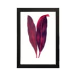 Vintage wall art featuring two red and purple leaves with a white background and black frame. hung on the wall