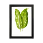 Vintage wall art featuring two large tropical green leaves with white lines and holes, set against a plain white background in a black frame. hung on the wall