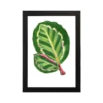 Vintage wall art of two overlapping green leaves with pinkish-red veins on a white background, framed in black. hung on the wall