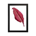 Vintage wall art with a single deep red leaf centered on a white background, framed in black. hung on the wall