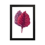 Vintage wall art featuring two overlapping leaves in red and purple on a white background with a black frame. hung on the wall