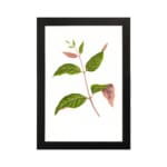 Vintage wall art featuring a leafy botanical branch with green and pink-tinted leaves on a white background, framed in black. hung on the wall