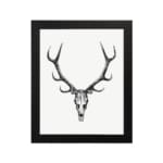 Rustic deer skull vintage wall art with black-and-white design on a grainy background. hung on the wall on a white background