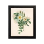 Infidu vintage wall art featuring white roses with yellow centers and green leaves on a soft beige background in a classic black frame. hung on the wall
