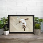 Infidu vintage wall art featuring a graceful hummingbird in flight against a soft brown background with soothing, natural tones. displayed on the wall art in a black frame