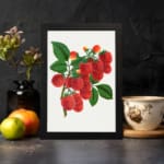 Vintage wall art of red lychee fruits on a branch with green leaves, framed in black on a white background. displayed on the wall