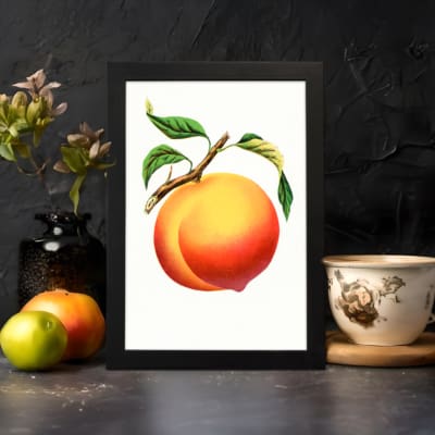 Infidu Ripe Peach Botanical Fruit Vintage Wall Art with bright orange peach and green leaves. displayed on the wall