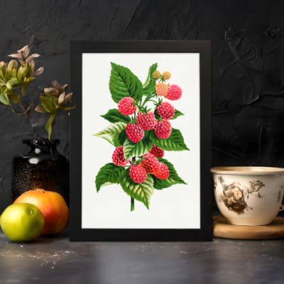 Vintage wall art of ripe red and pink raspberries with green leaves on a white background, framed in black. displayed on the wall