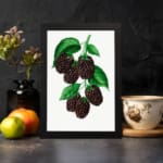 Infidu Dark Berry Cluster Botanical Vintage Wall Art with dark berries and green leaves framed in black. displayed on the wall