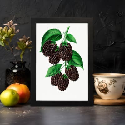 Infidu Dark Berry Cluster Botanical Vintage Wall Art with dark berries and green leaves framed in black. displayed on the wall