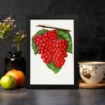 Vintage wall art of red grapes on a vine with green leaves and a white background, framed in black. displayed on the wall