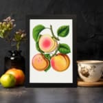 Vintage peach fruit wall art with soft orange and pink tones, green leaves, and a sliced peach on a white background. displayed on the wall